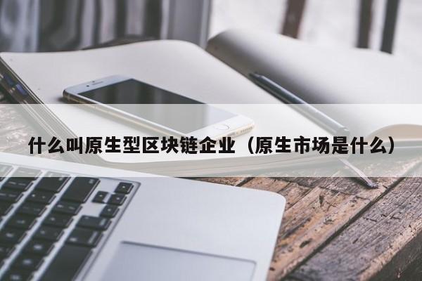 什么叫原生型区块链企业(原生市场是什么)